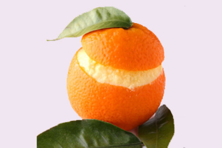 Orange Surprise - Balti Collection in Crook Log DA6