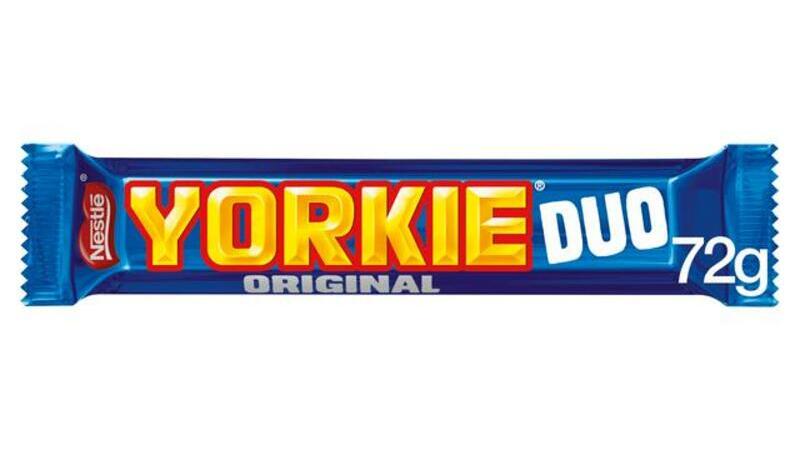 Duo Yorkie - Panini Collection in Acres Nook ST6